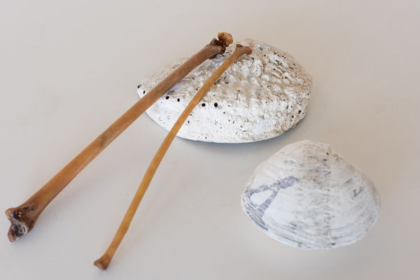 Jeanne Cannizzo Abalone Rasp with Seabird Bone Sticks, 2019 mixed media