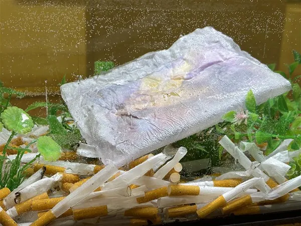 Ruthella Dafnis, TANK, 2026