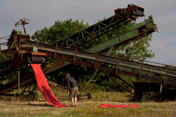 Mair Hughes, Reactive Red, 2020