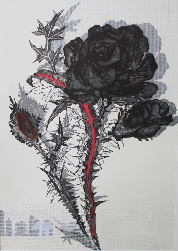Elspeth Lamb RSA, Asakusa Rose