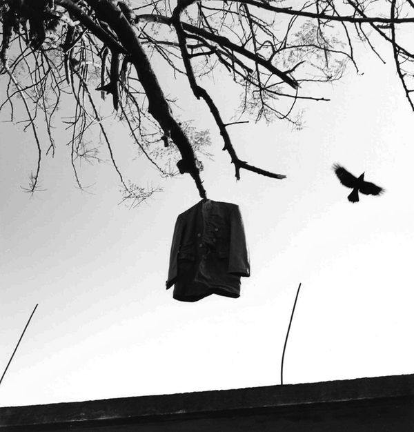 Graciela Iturbide Sin Título (Pájaro y Abrigo) Khajuraho, India, 1998 Silver Gelatin Print 20 x 16" 50.8 x 40.6 cm
