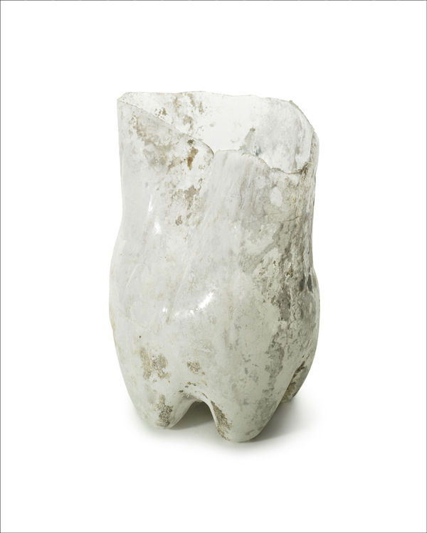 Chuck Ramirez Careyes: White Venus, 2007/2022 Pigment inkjet print 34 x 30 in 86.4 x 76.2 cm Edition of 3