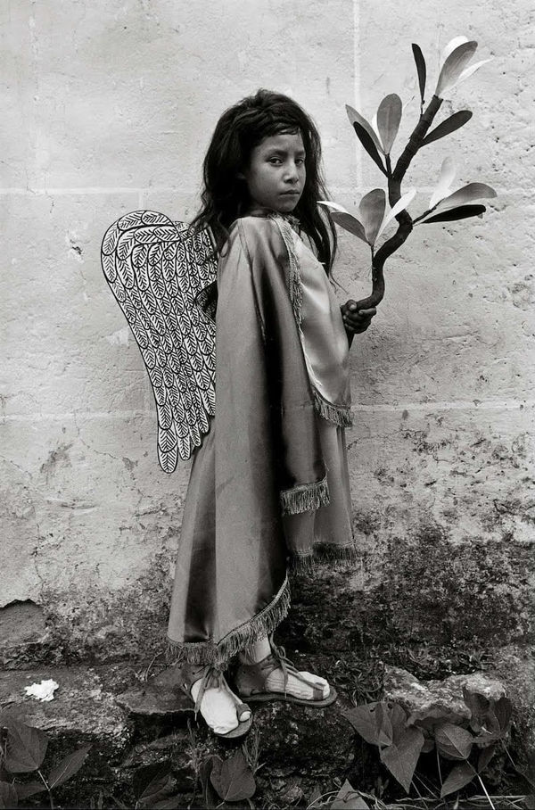 Graciela Iturbide Angelito Mexicano, 1984 Gelatin silver print 12.5 x 9" 31.8 x 22.9 cm