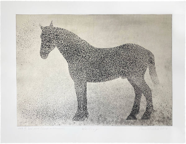 Pawel Zablocki, Waiting, 2016