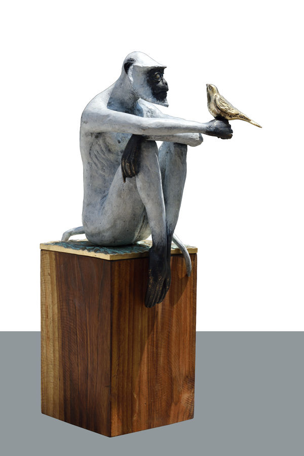 Dhruv Patel, The Introvert Breaks