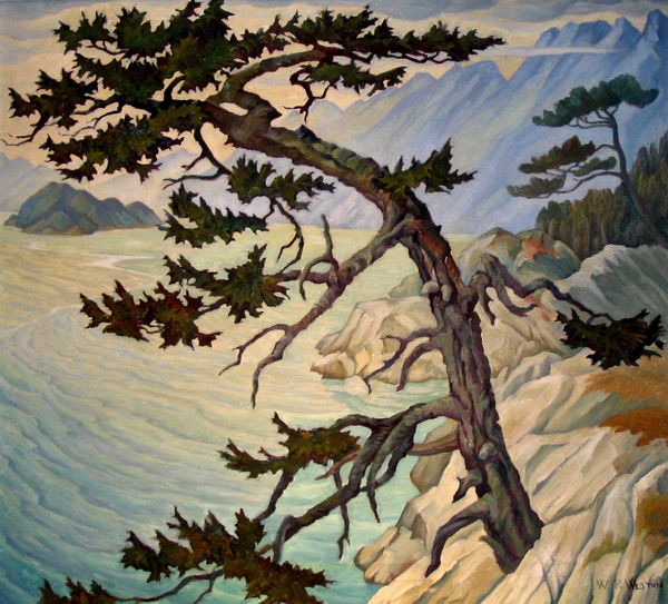 William Percival Weston - Whytecliffe, Old Fir, 1952