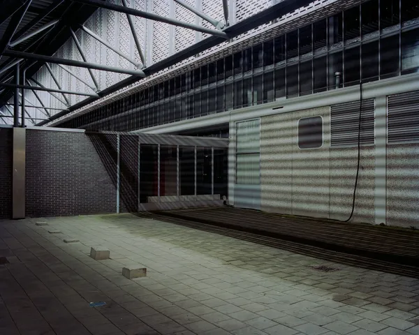 Sander Meisner, White noise #5, 2012