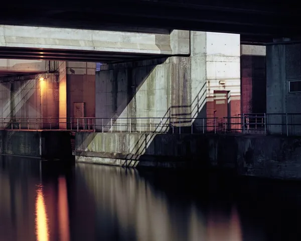 Sander Meisner, White noise #1, 2011