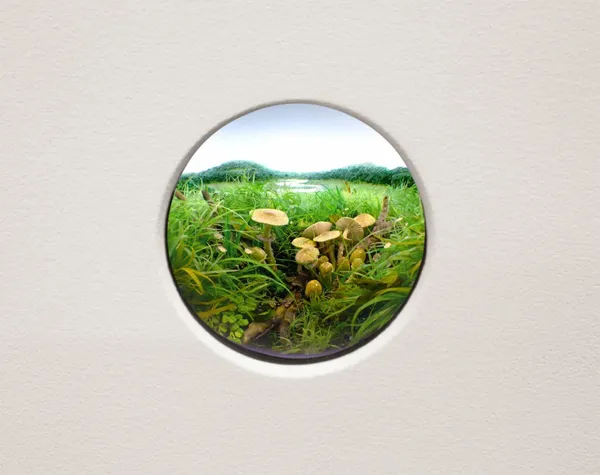 Patrick Jacobs, Gold cap cluster