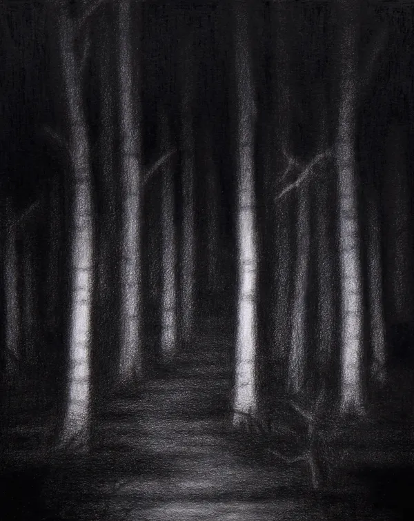 Steffen Kern, Forest, 2025
