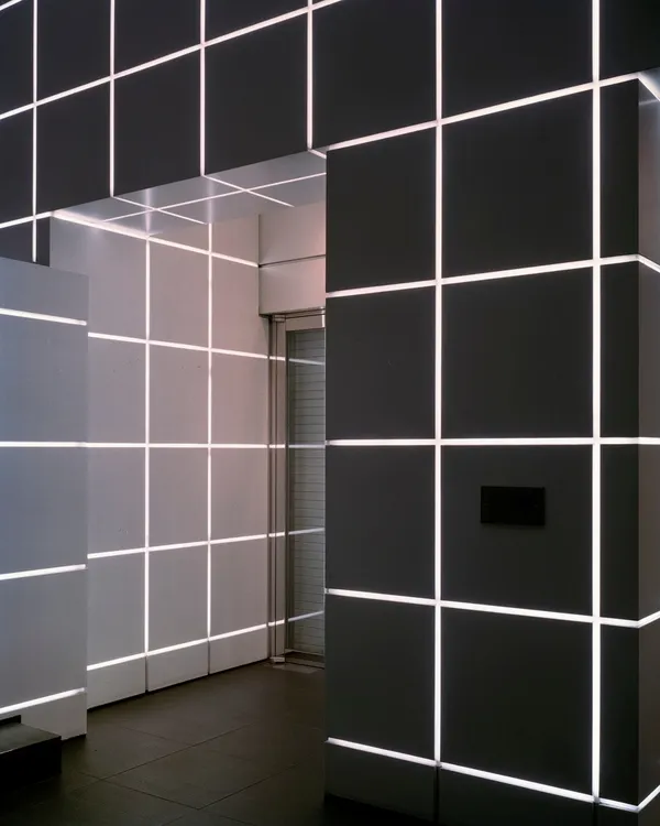 Sander Meisner, Tokyo #2, 2013