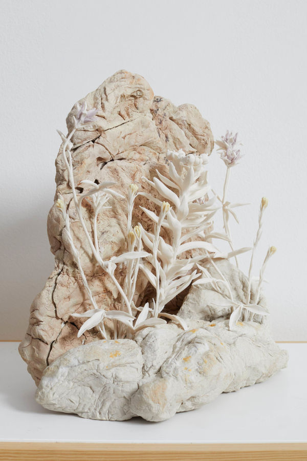 Katie Spragg, Quarry (clovers, always-alive, euphorbia), 2023