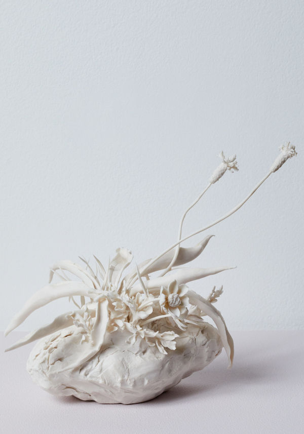 Katie Spragg, Illa Del Rei Herb Garden Sketch (Plantain and seaside Camomile), 2023