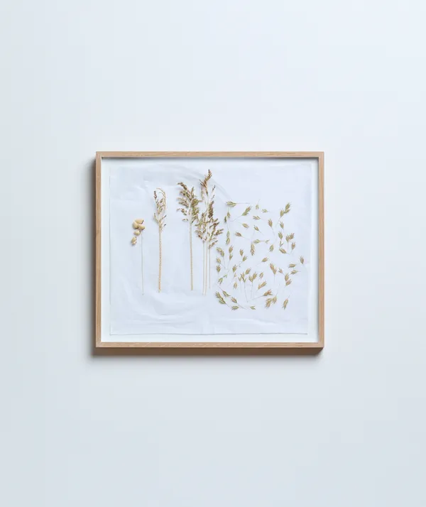Katerina Knight, A Sampler in Grass I, 2025