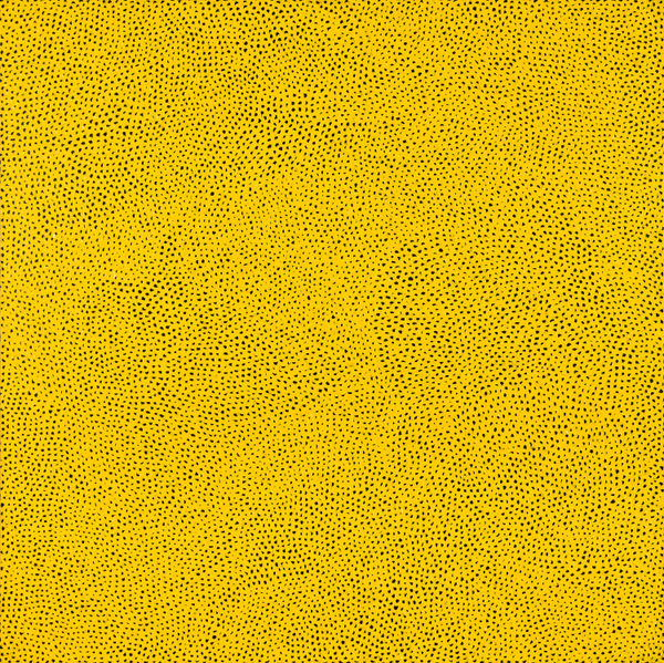 Yayoi Kusama, Infinity-Nets (BAJO), 2013