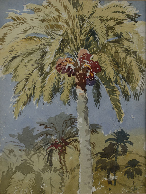 Date Palms