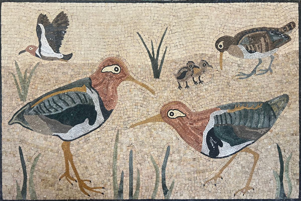 Greater Painted Snipes