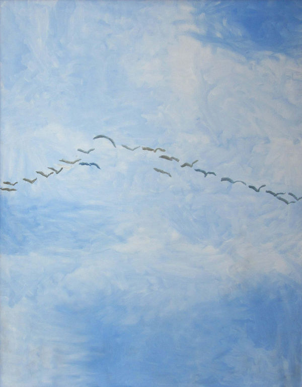 Gilles AILLAUD, Vols d'oiseaux, 2000