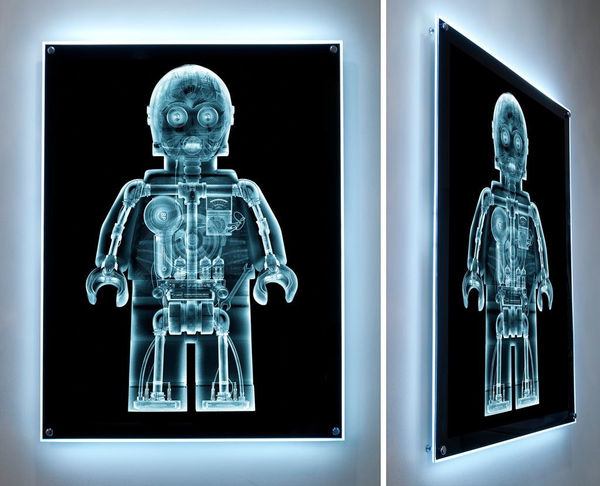 Dale May, X-Ray CthruPO Lightbox, 2011