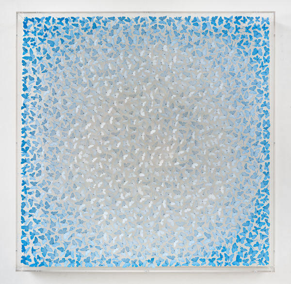 Charles Patrick Studio, When we move as one we stay young , 2025