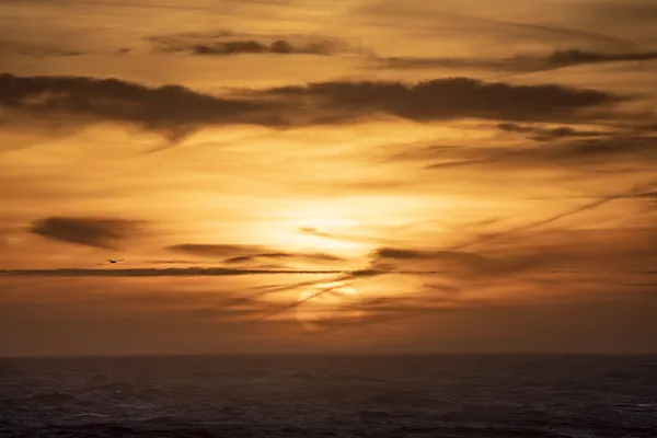 Kit Noble - Sunscreen, 2025