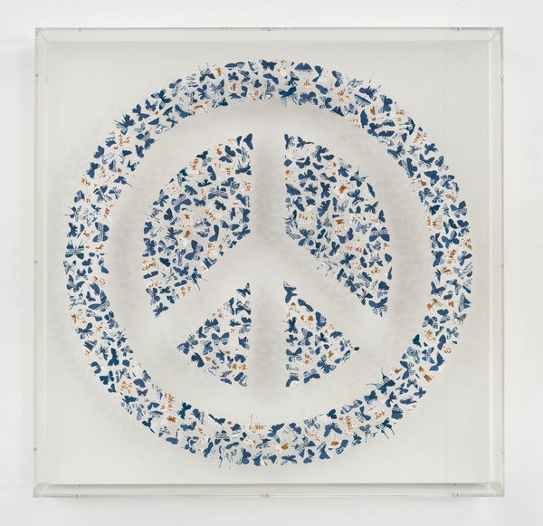 Charles Patrick, Hyper Hippie, 2024