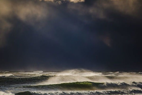 Jonathan Nimerfroh, Dark Paradise, 2017