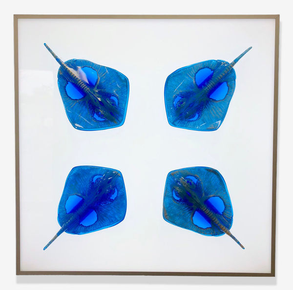 Christopher Schulz, X Ray, 2020