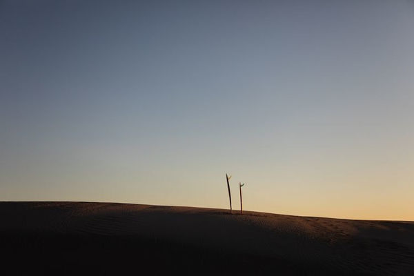 Jonathan Nimerfroh, Miles Away, 2024