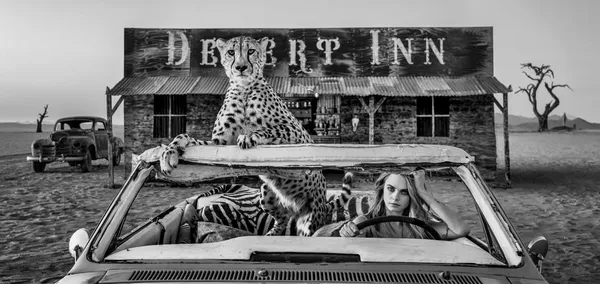 David Yarrow, Bad Asses (B&W) (Standard), 2024