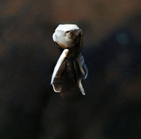 Kerem Ozan Bayraktar, İsimsiz | Untitled, 2019