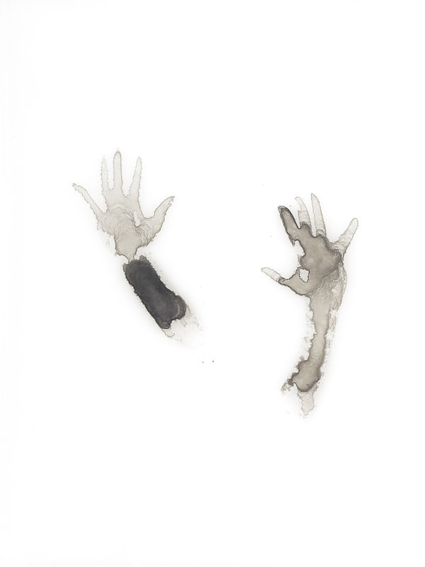 Çağla Köseoğulları, İsimsiz 67 | Untitled 67, 2016