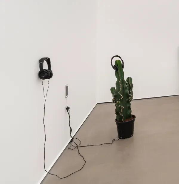 Ludovic Bernhardt, Bipolaritede Savrulan Kaktüs (Ses Kaydının Kökeni) | Cactus Astray in Bipolarity (The Origin of Sound Recording) , 2025