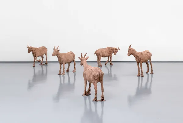 Guido Casaretto, Eddies, 2022