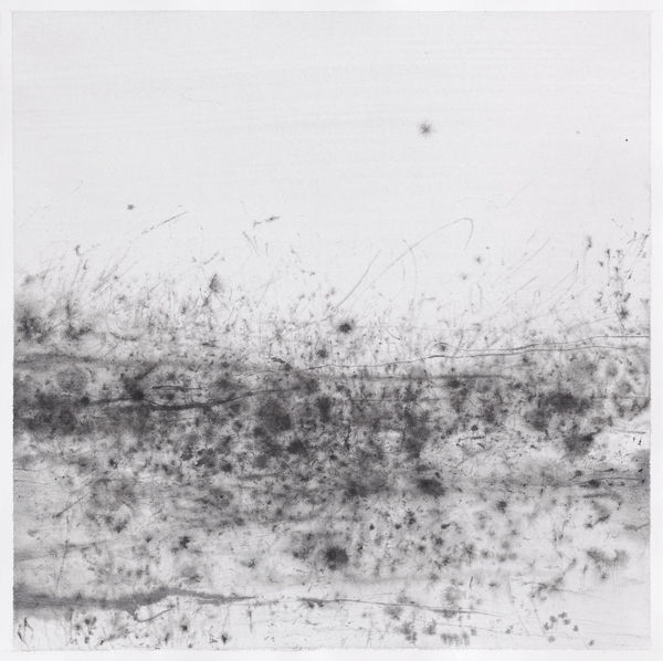 Çağla Köseoğulları, İsimsiz 7 | Untitled 7, 2018