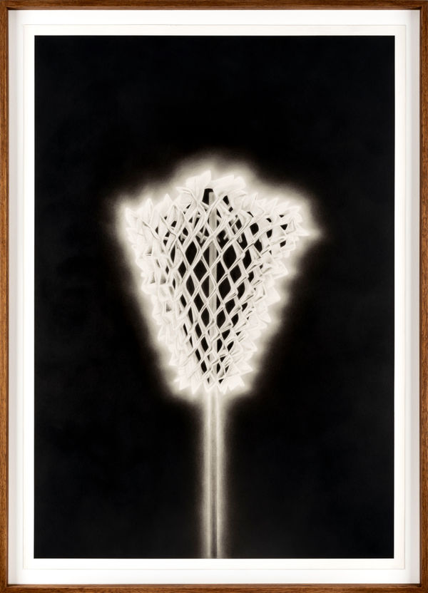 Yunus Emre Erdoğan, Kafes | Cage, 2023