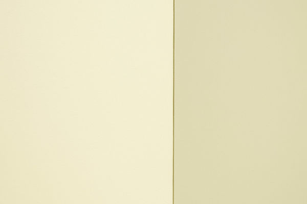 Yağız Özgen, Yaklaşık olarak Olympia (334 Şerit) | Approximately Olympia (334 Stripes) , 2015