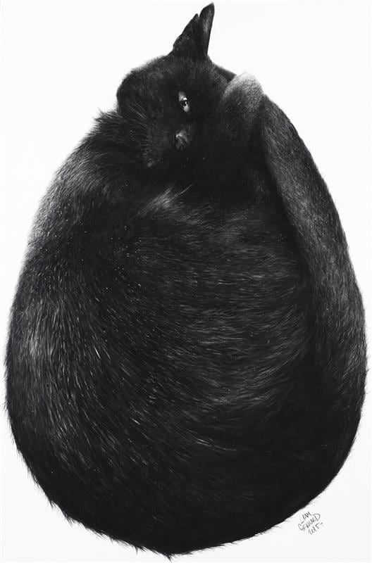 LIAM GERRARDNew Work