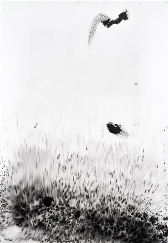 Cruz Jimenez Song Bird, 2016 Ink on paper 158.0 x 118.0 cm