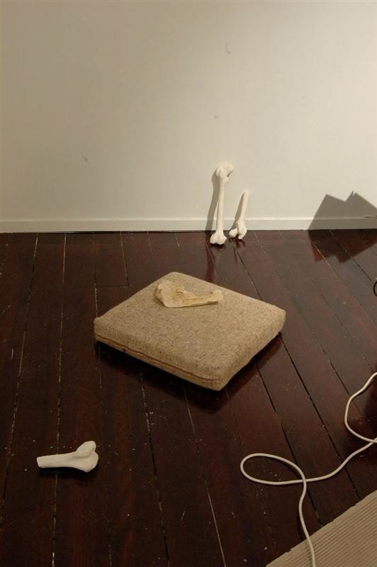 Matt Molloy, Shank, 2008