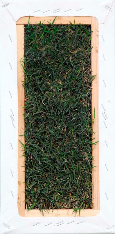 Gill Gatfield, Freehold, 2008