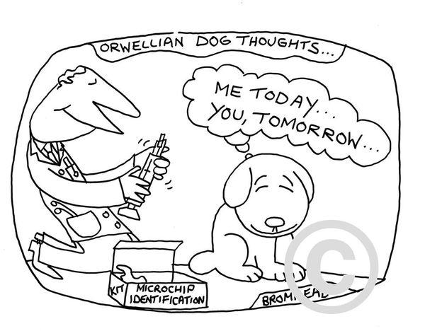 Peter Bromhead, The Future of Micro-chipping, 2008