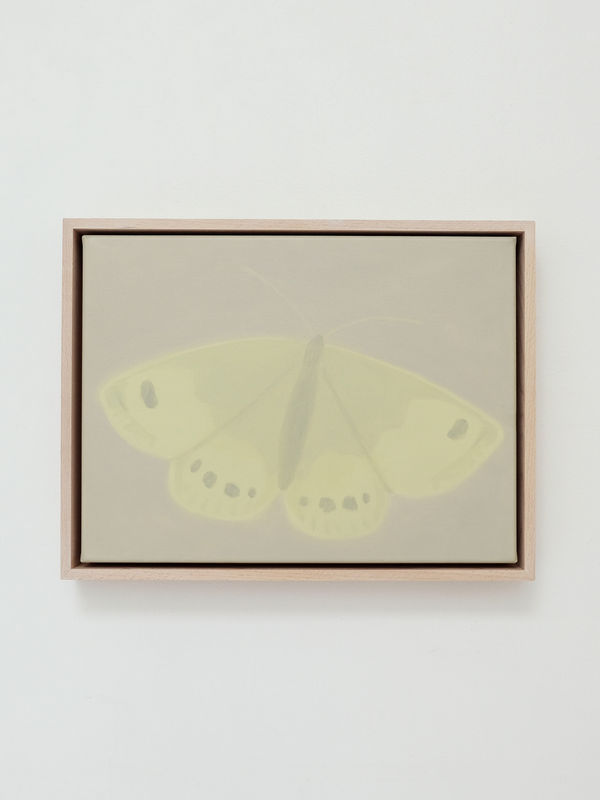 Briana Jamieson Oat Straw, 2026 Oil on canvas, beech frame 300 x 400mm