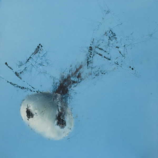 Adam Douglass, Tomahawk 2, 2007