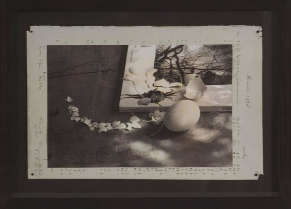 Cruz Jimenez, Pillow Stain (study), 2008