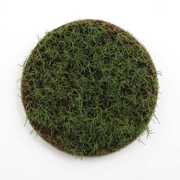 Gill Gatfield, Disc (Live Recording), 2007