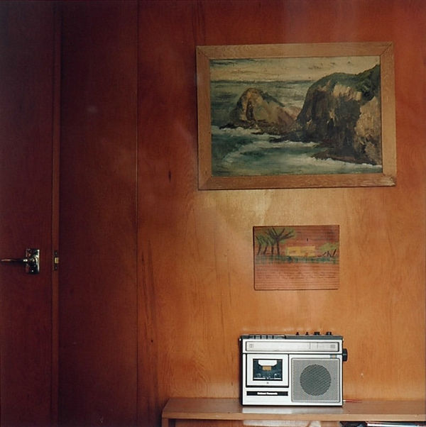 Sam Hartnett, Te Waha, 2007