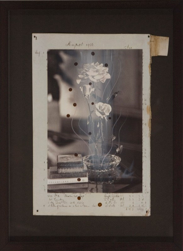 Cruz Jimenez, Frail Duration (study), 2008