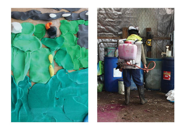 Bronwyn Mckenzie Topographia (Diptych), 2016 giclee print, edition of 3 70.0 x 47.0 cm