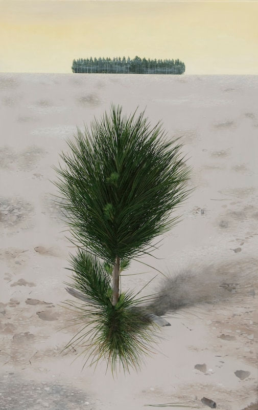 Candi Dentice, Trade Me, 2008